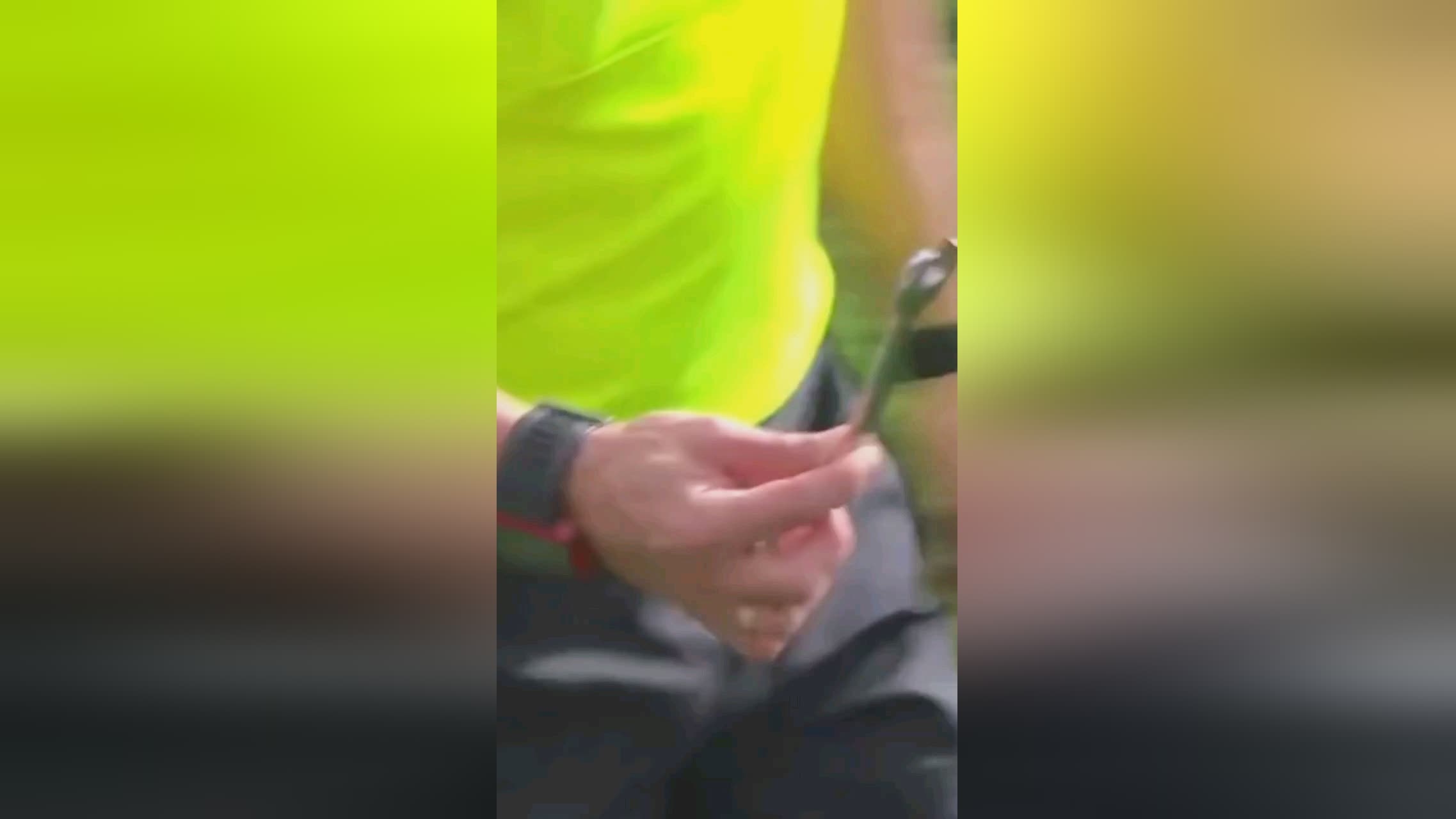手的综合